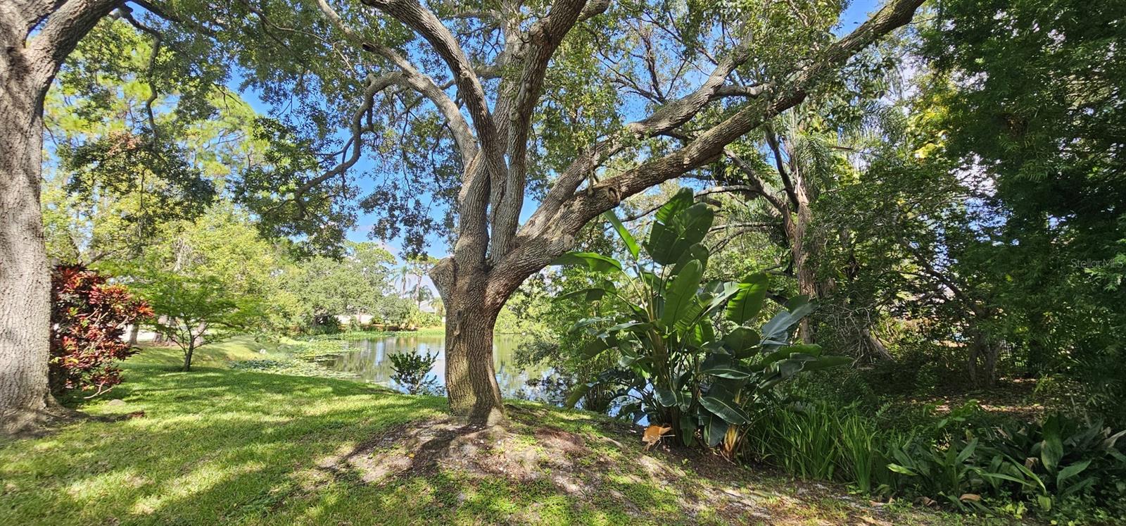 10495 LONGWOOD DR — photo 68