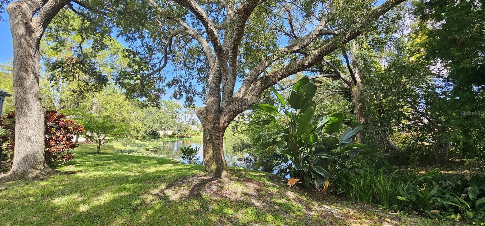 10495 LONGWOOD DR — photo 56