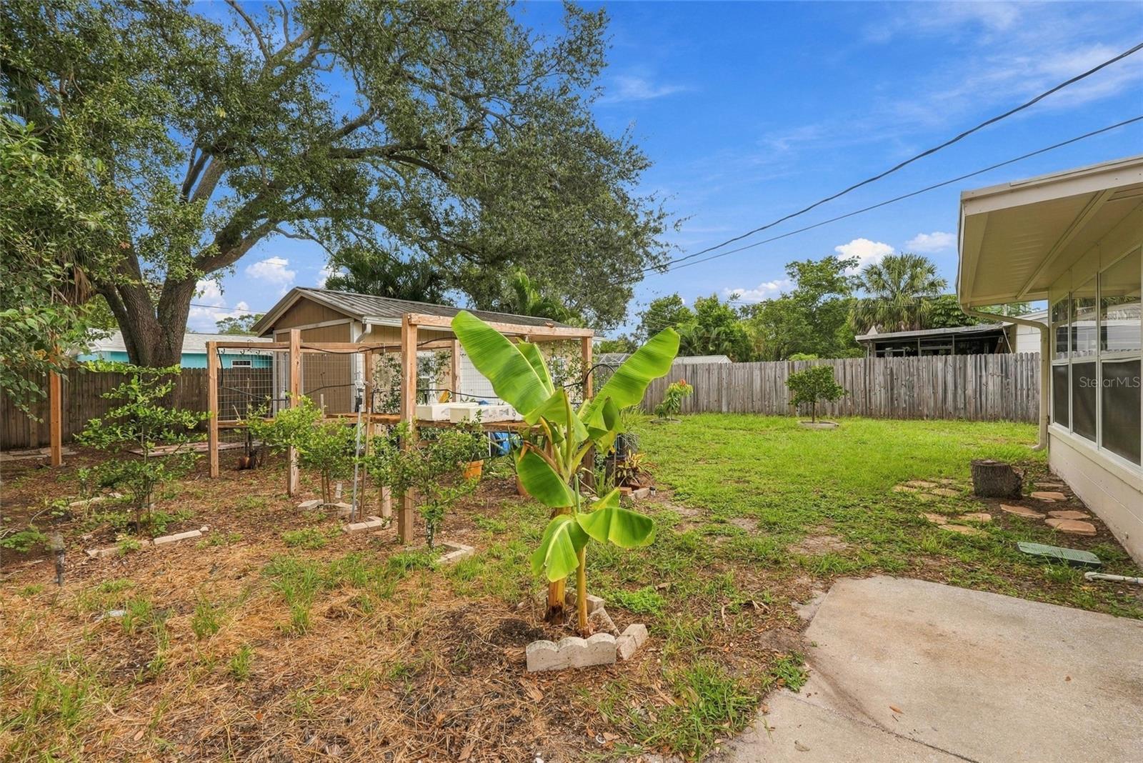 10473 CIRIMOYA LN — photo 39
