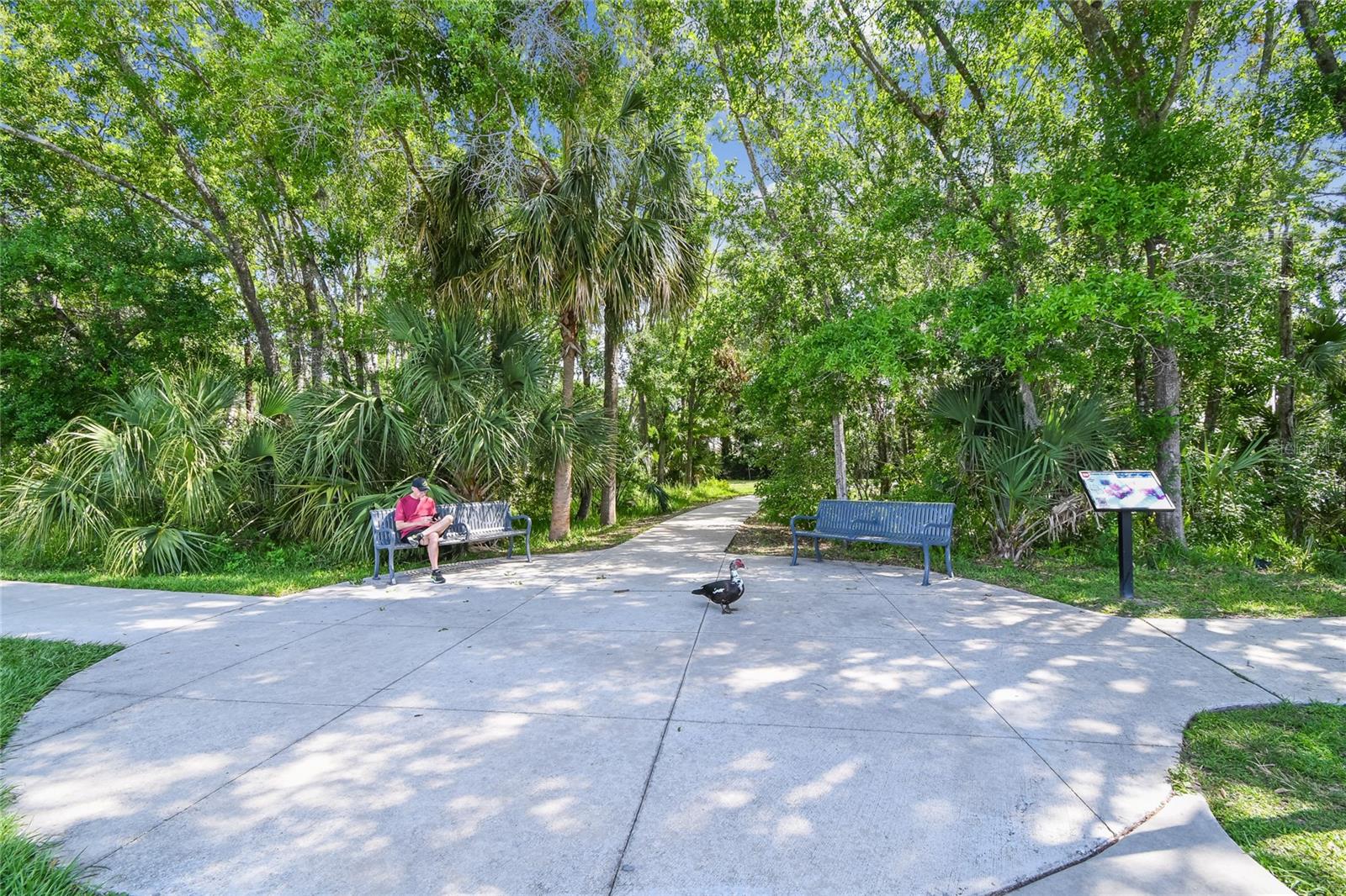 14601 ANCHORET RD — photo 23