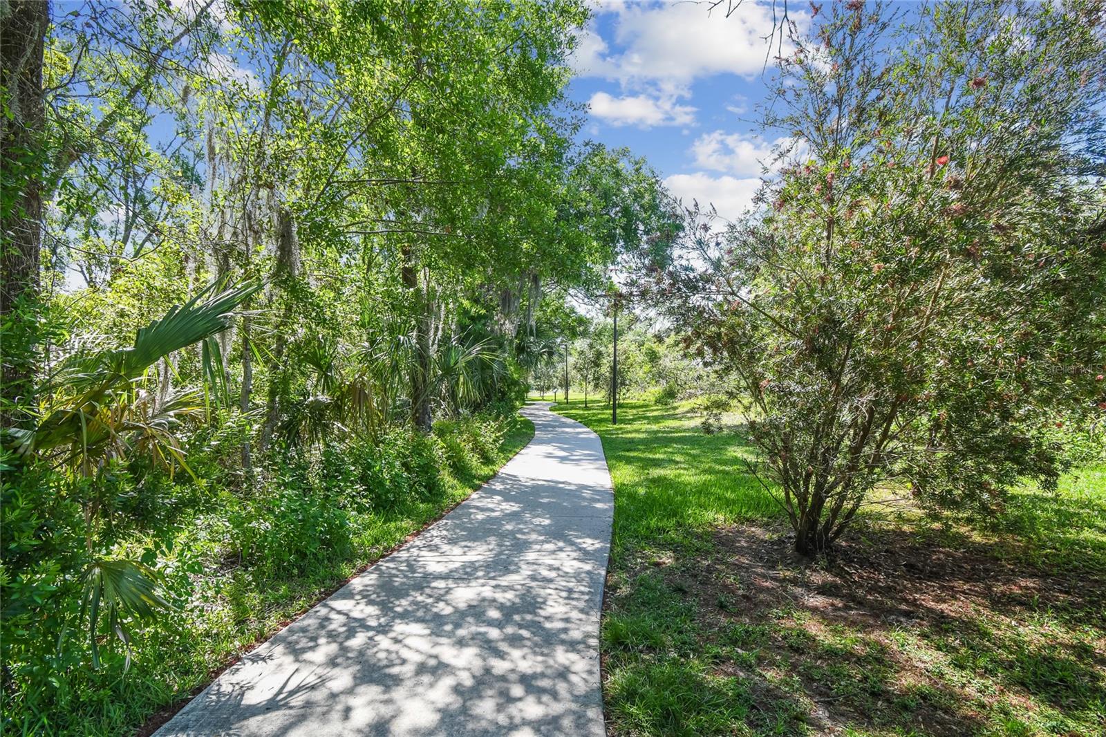 14601 ANCHORET RD — photo 24