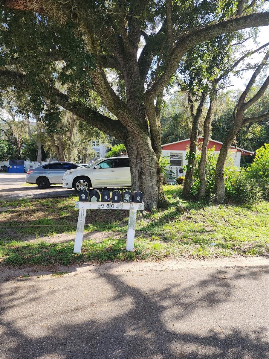 2501 IRENE ST — photo 3