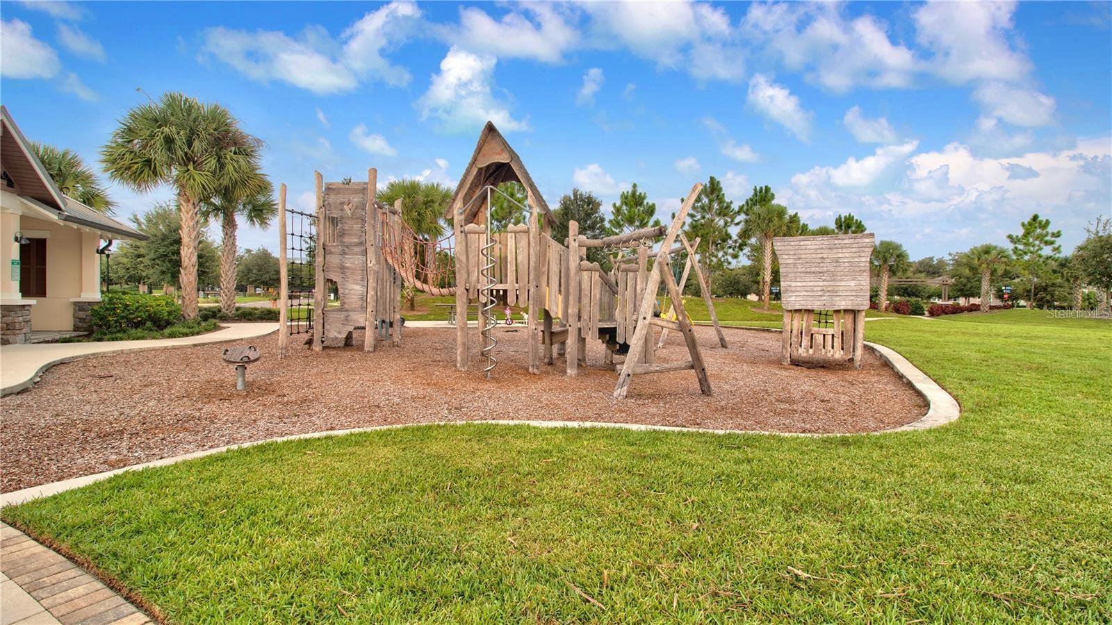 11674 CAMBIUM CROWN DR — photo 21
