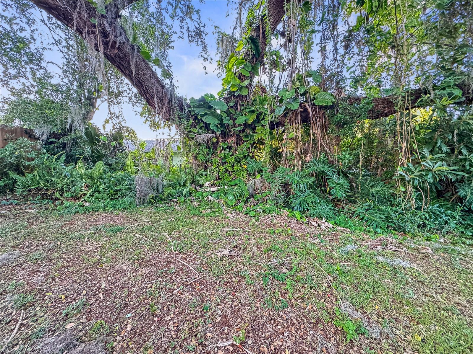 2115 W IVY ST — photo 17