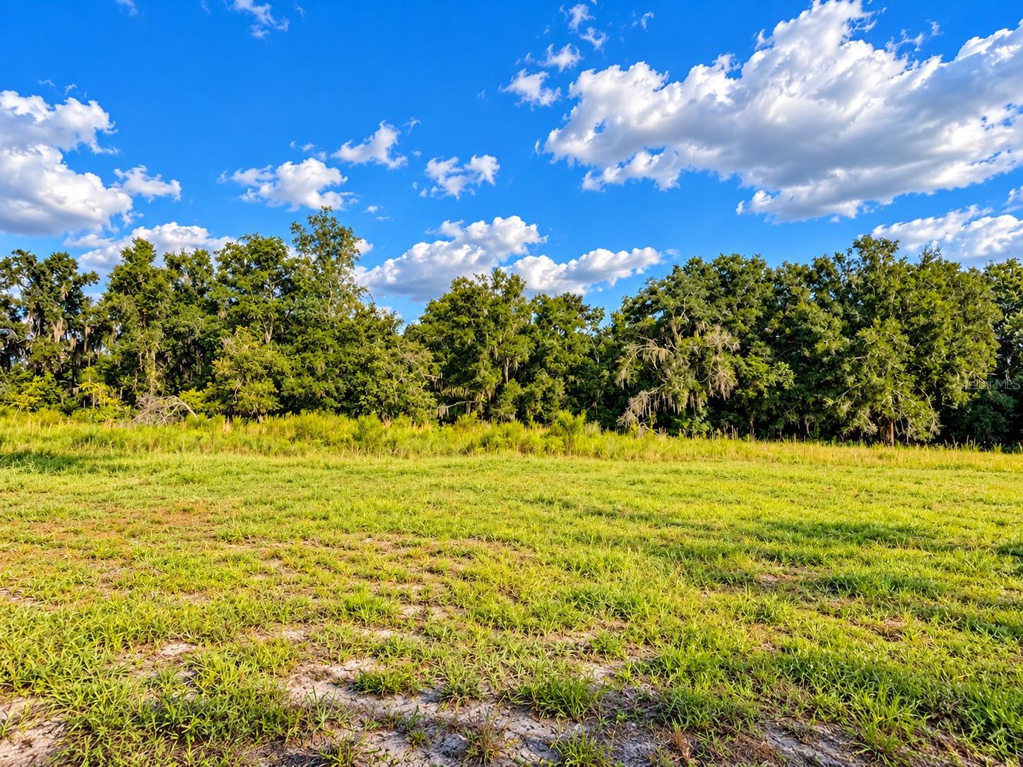 20901 LONESOME ACRE RD — photo 19