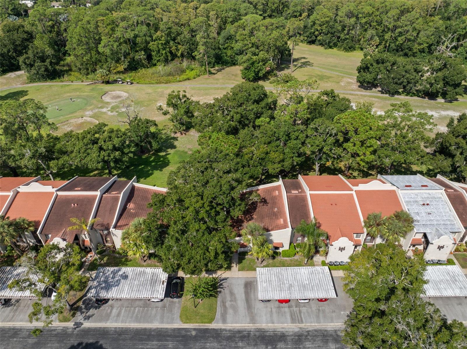 3505 TARPON WOODS BLVD #K406 — photo 32