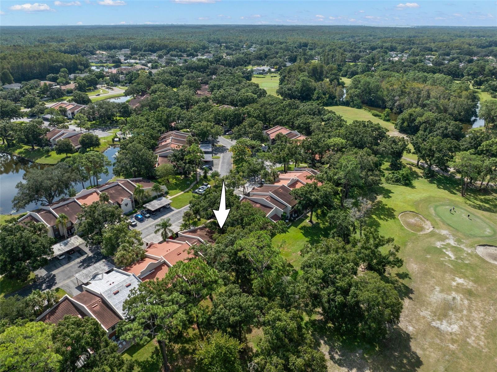 3505 TARPON WOODS BLVD #K406 — photo 31