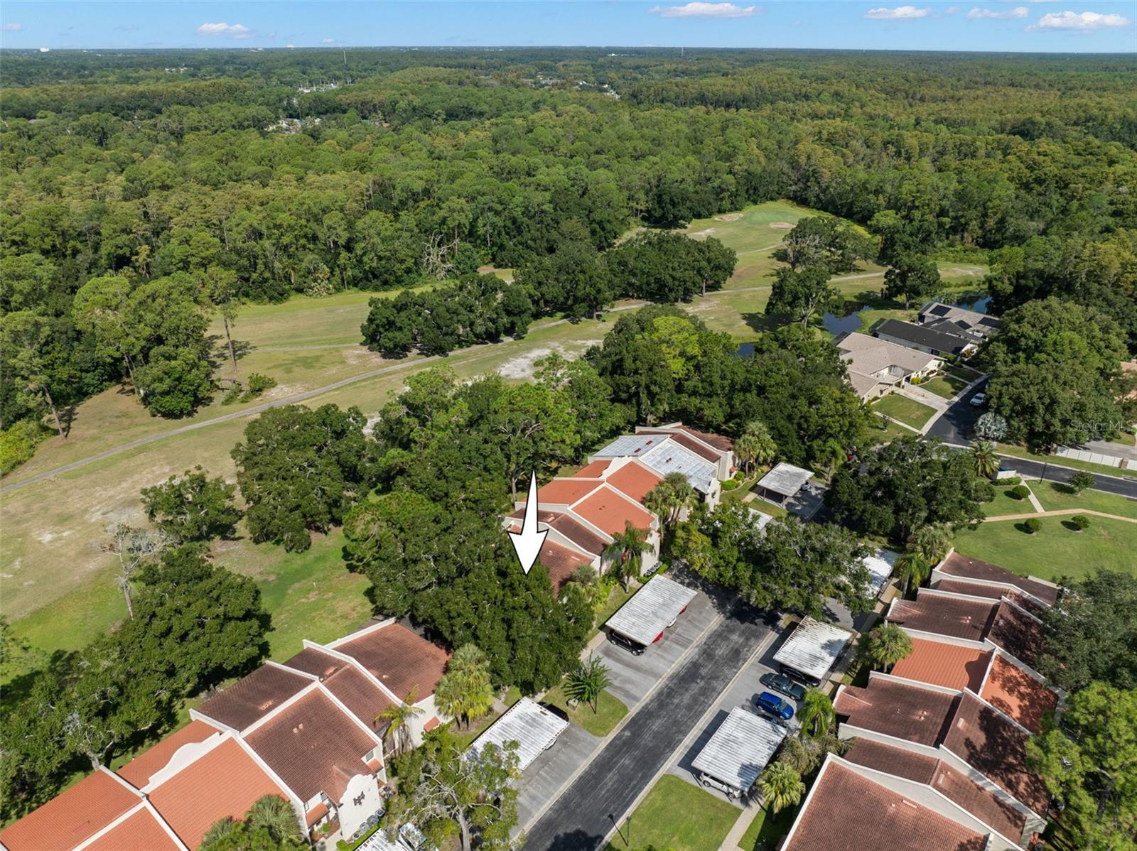 3505 TARPON WOODS BLVD #K406 — photo 30