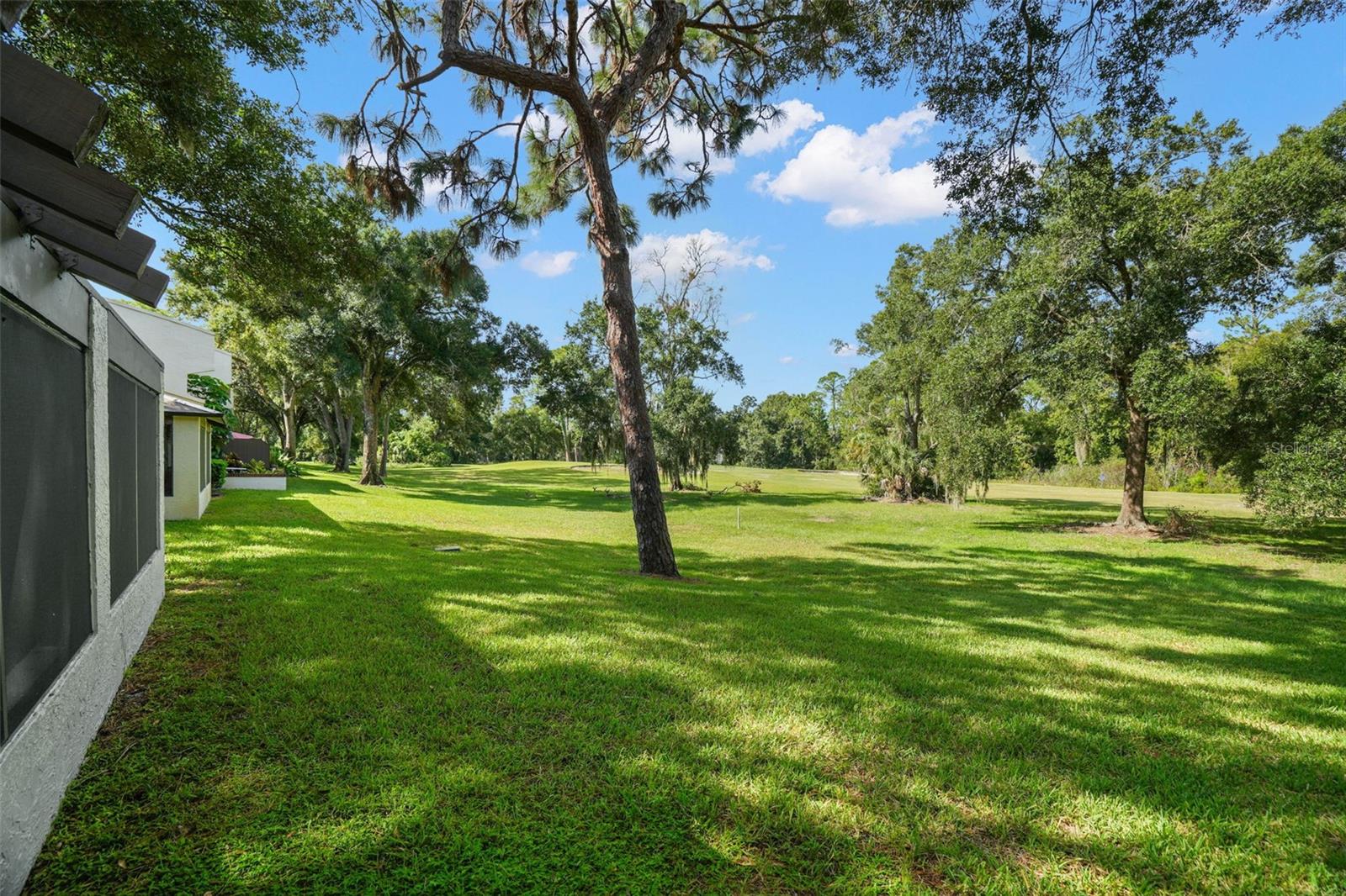 3505 TARPON WOODS BLVD #K406 — photo 18