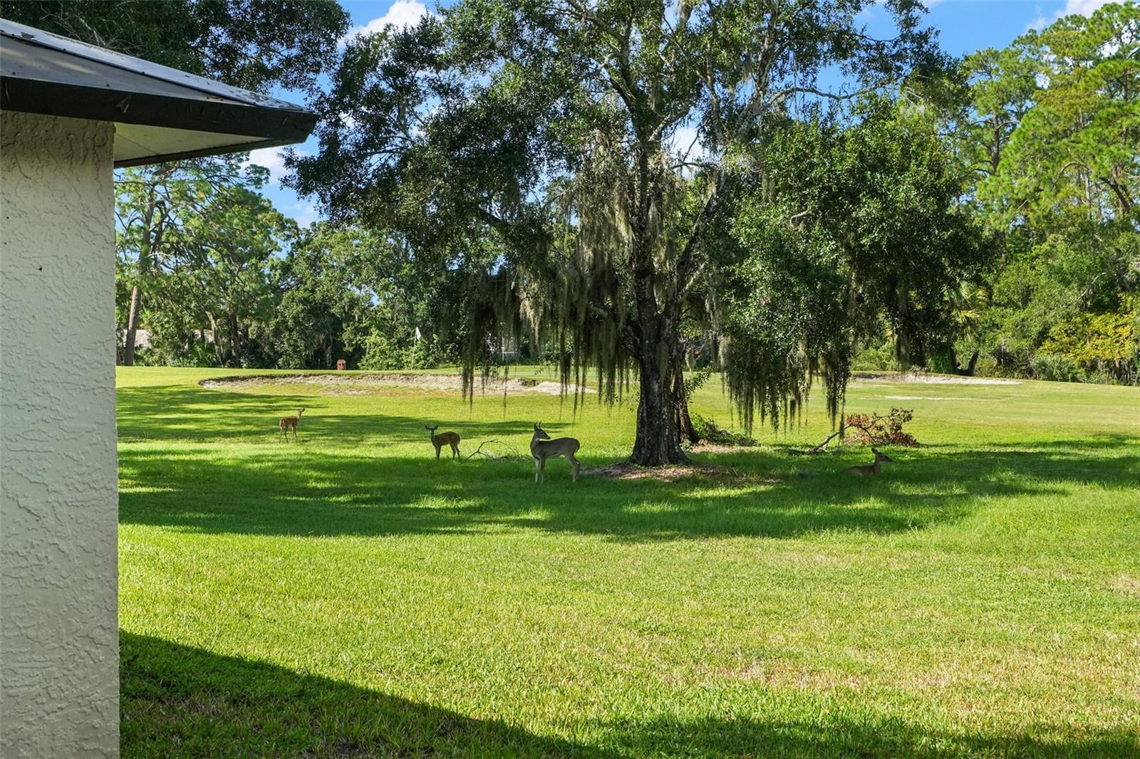 3505 TARPON WOODS BLVD #K406 — photo 19