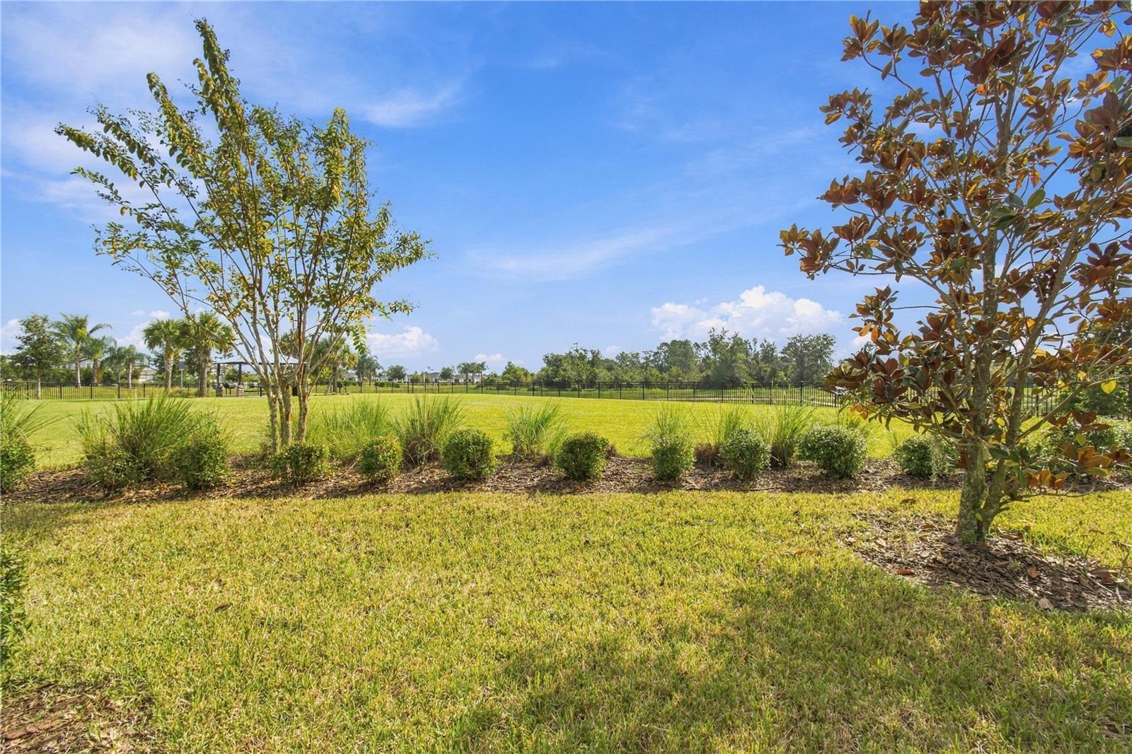 31564 WOODLAND RACE LOOP — photo 47