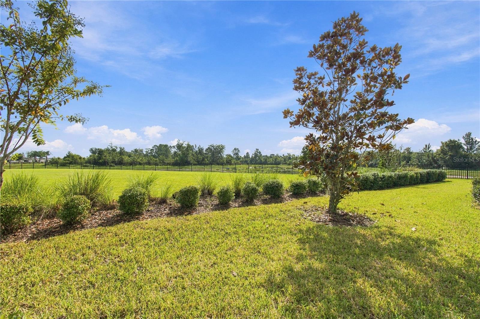 31564 WOODLAND RACE LOOP — photo 48