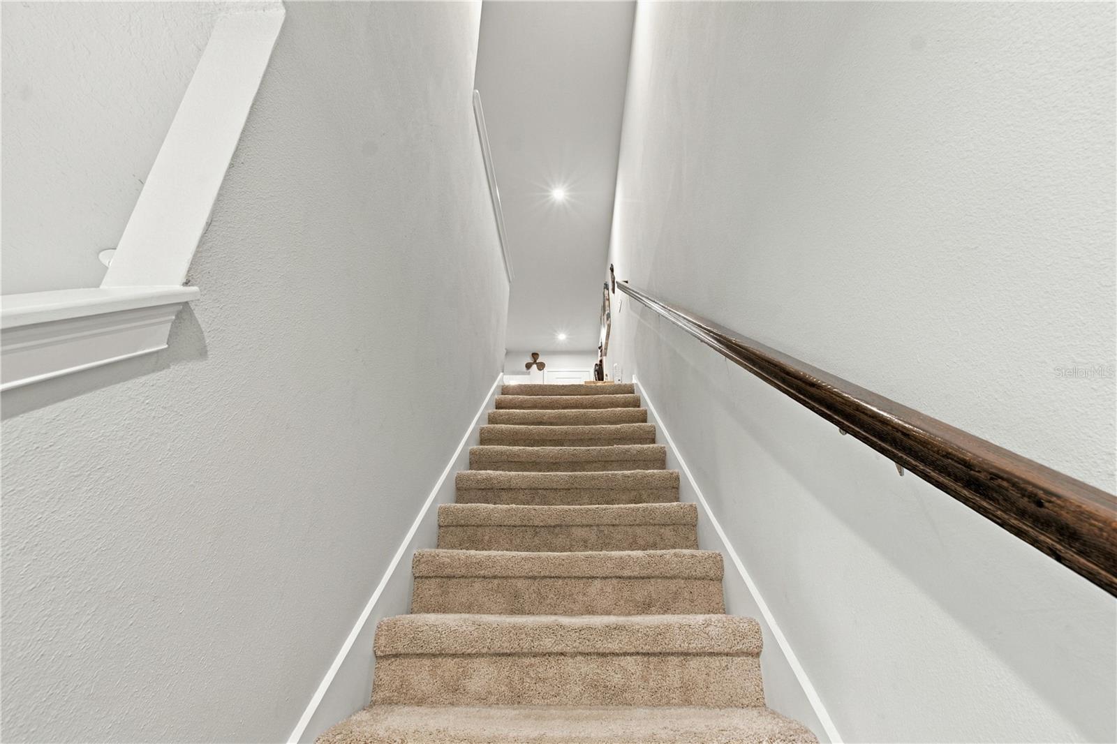 31564 WOODLAND RACE LOOP — photo 28