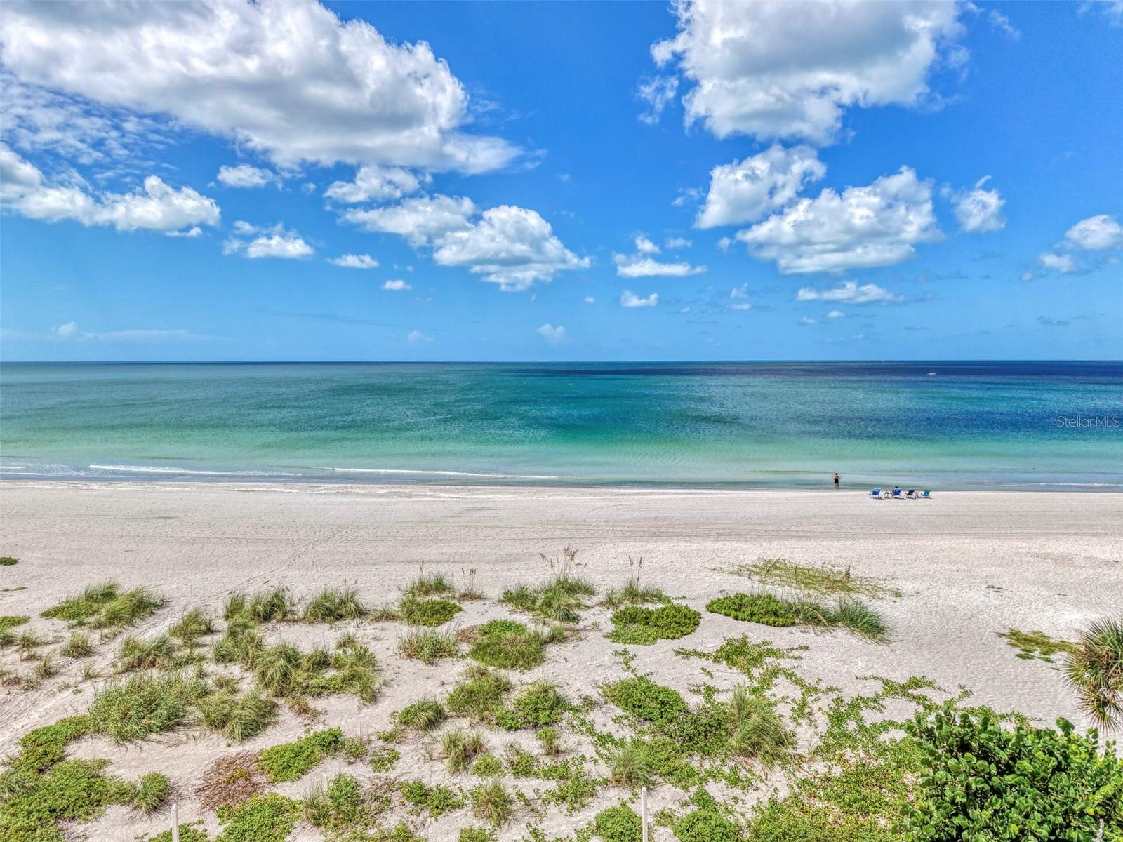 1555 TARPON CENTER DR #I-161 — photo 45