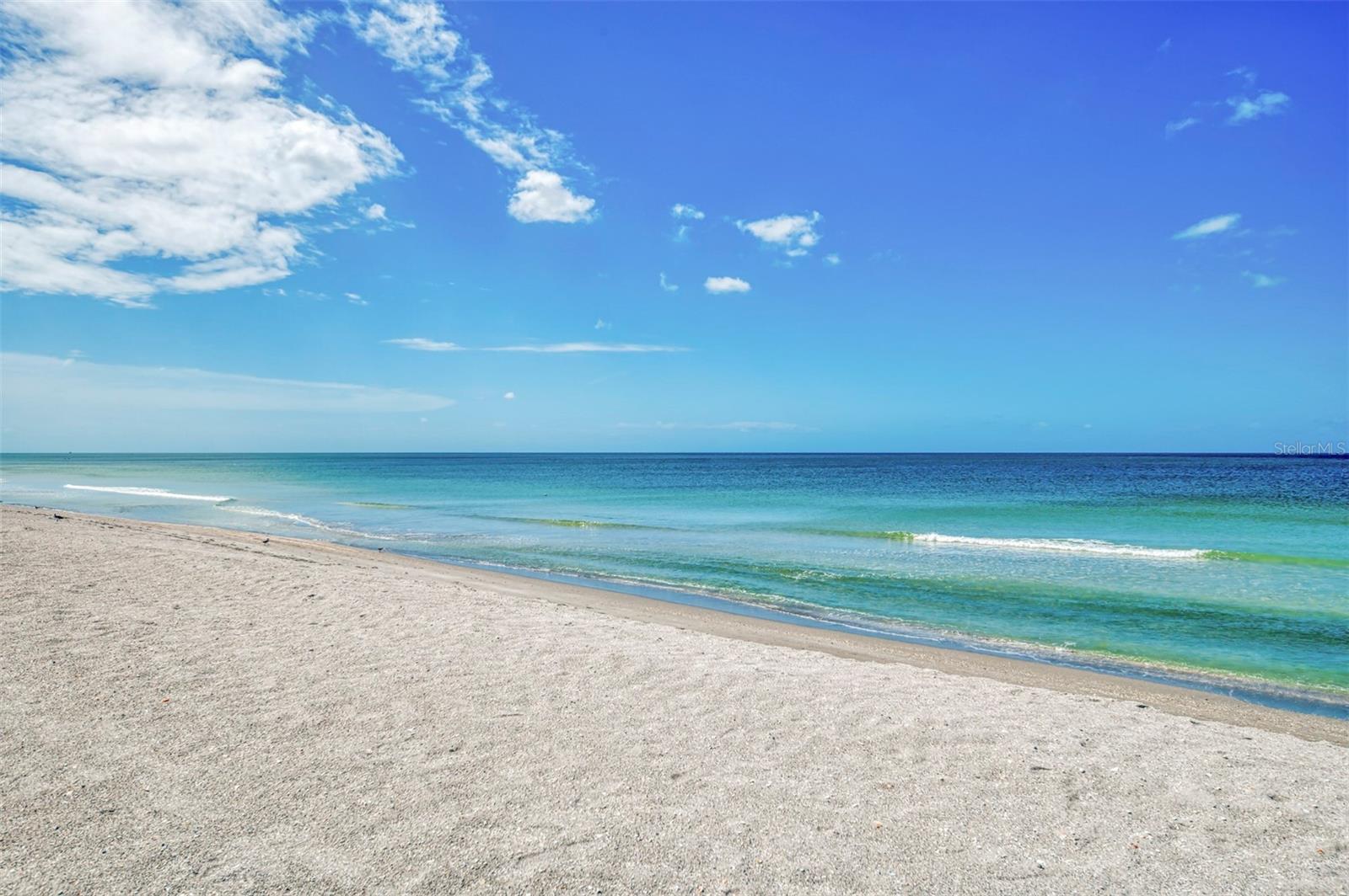 1555 TARPON CENTER DR #I-161 — photo 54
