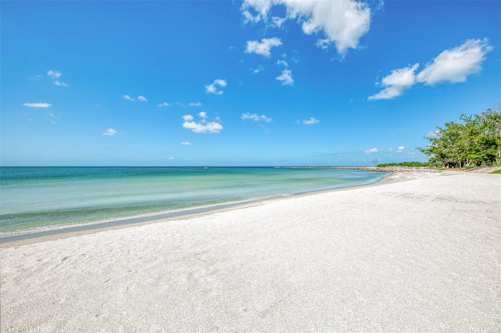 1555 TARPON CENTER DR #I-161 — photo 56