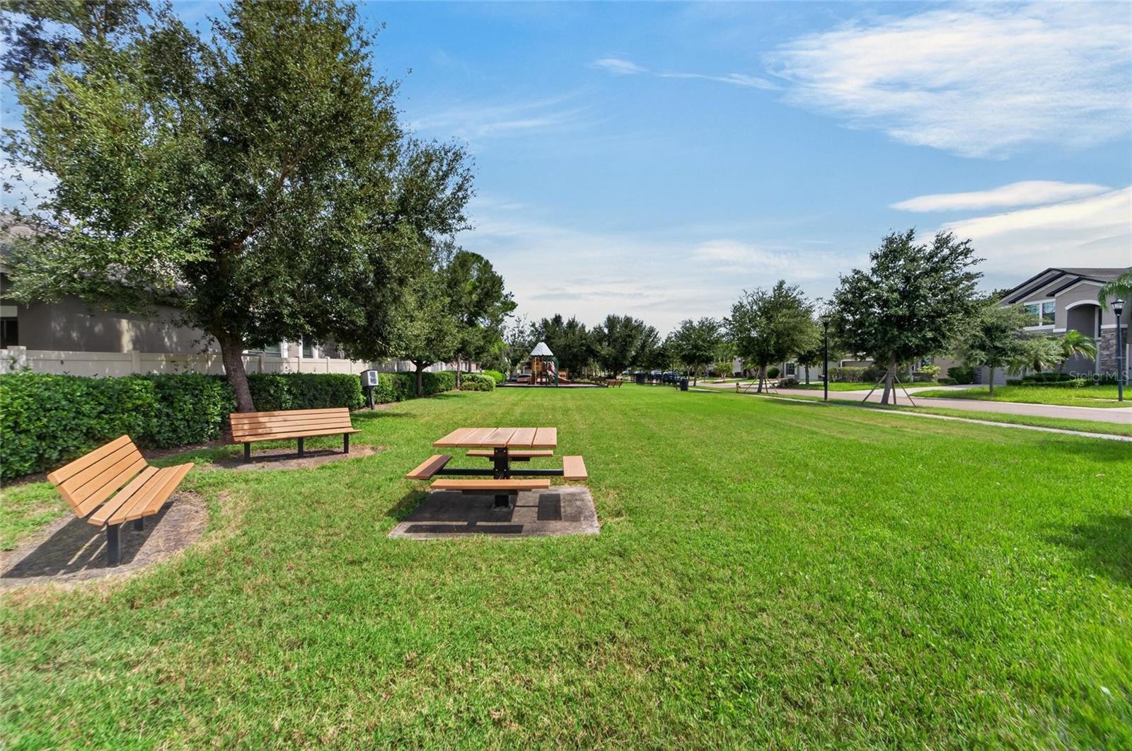 11520 SCARLET IBIS PL — photo 48