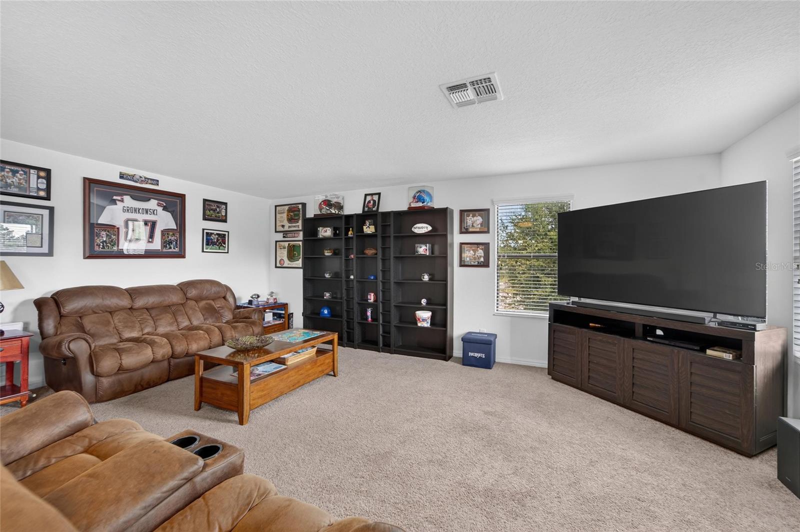11520 SCARLET IBIS PL — photo 12