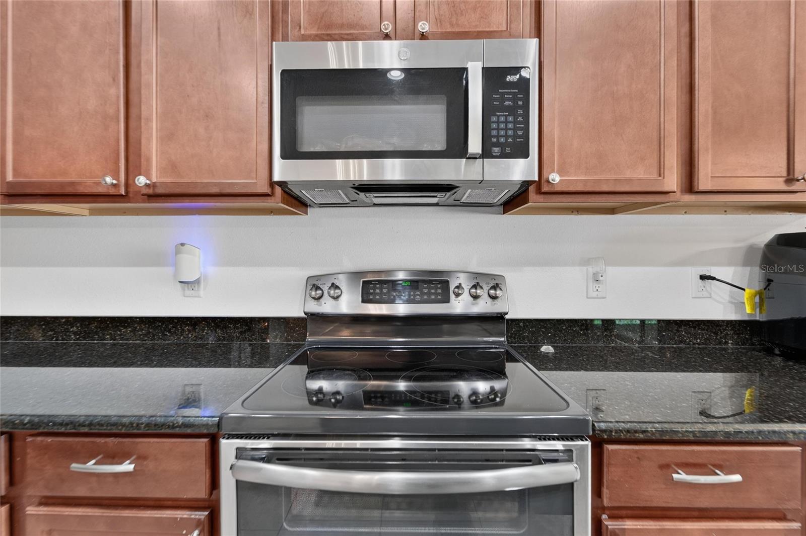 11520 SCARLET IBIS PL — photo 21