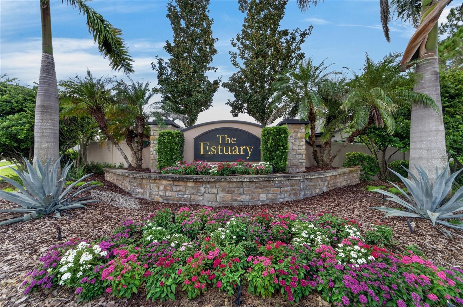 11520 SCARLET IBIS PL — photo 61