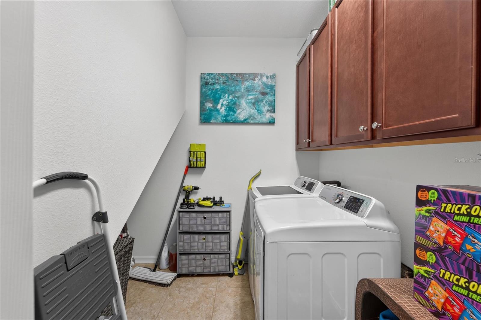 11520 SCARLET IBIS PL — photo 26