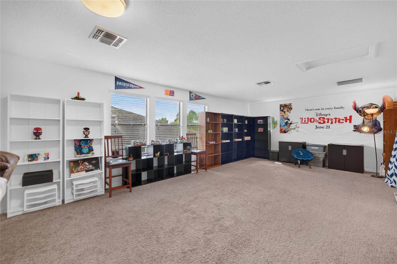 11520 SCARLET IBIS PL — photo 14