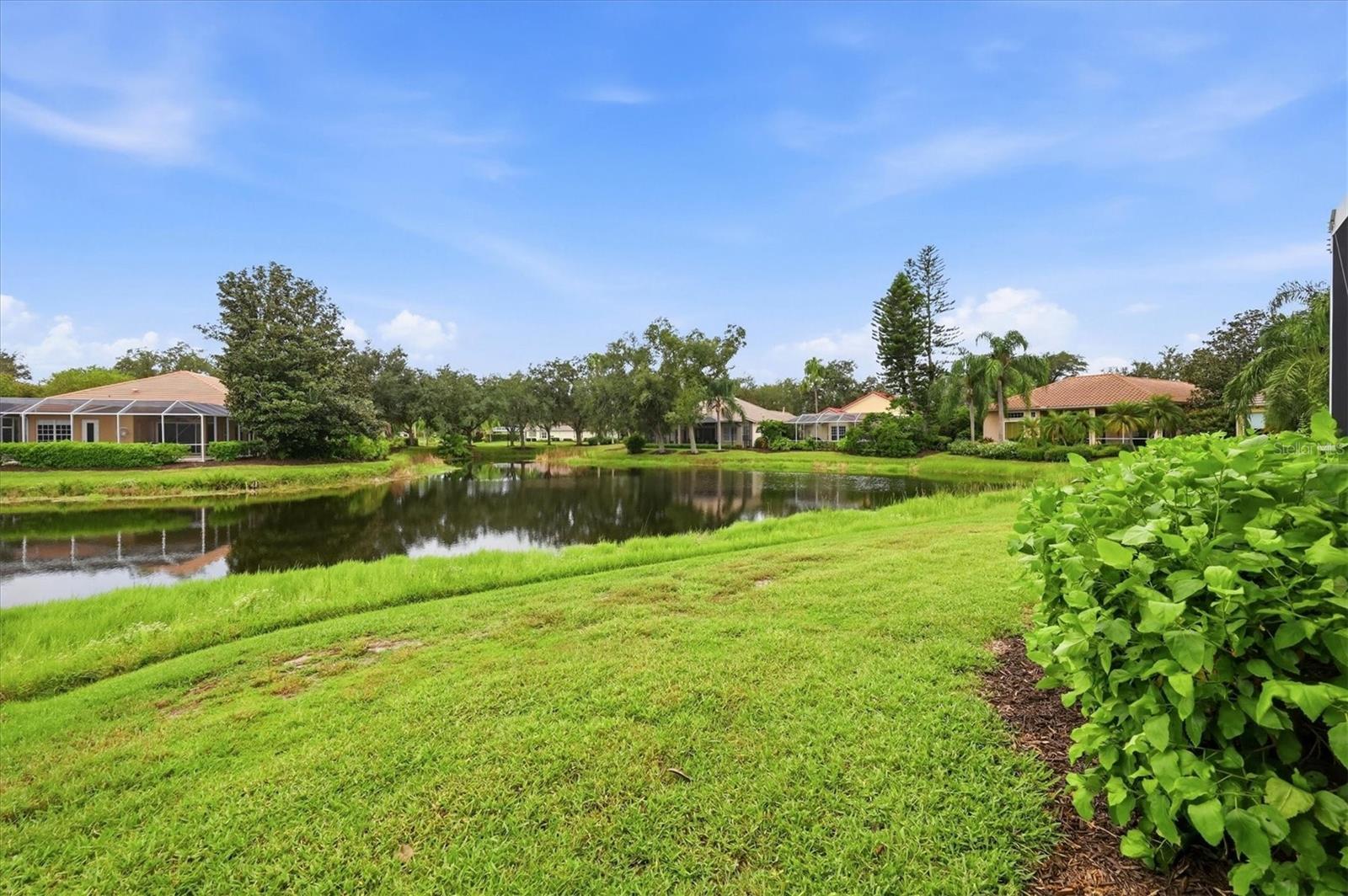 7319 WINDEMERE LN — photo 29