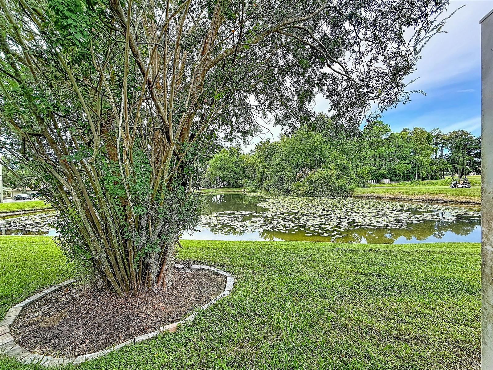 16110 RAMBLING VINE DR W — photo 44