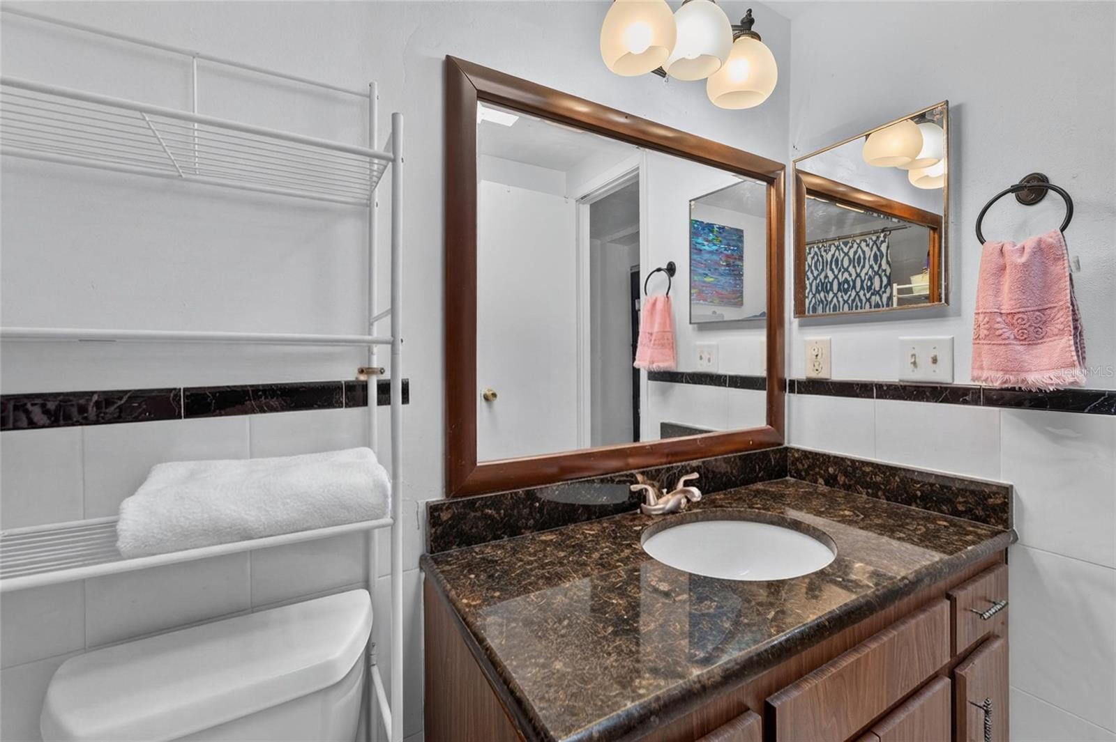 7003 SUMMERBRIDGE DR — photo 10