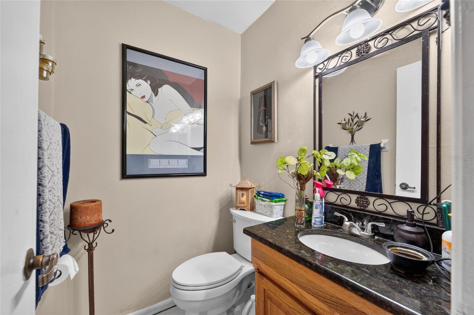 7003 SUMMERBRIDGE DR — photo 12