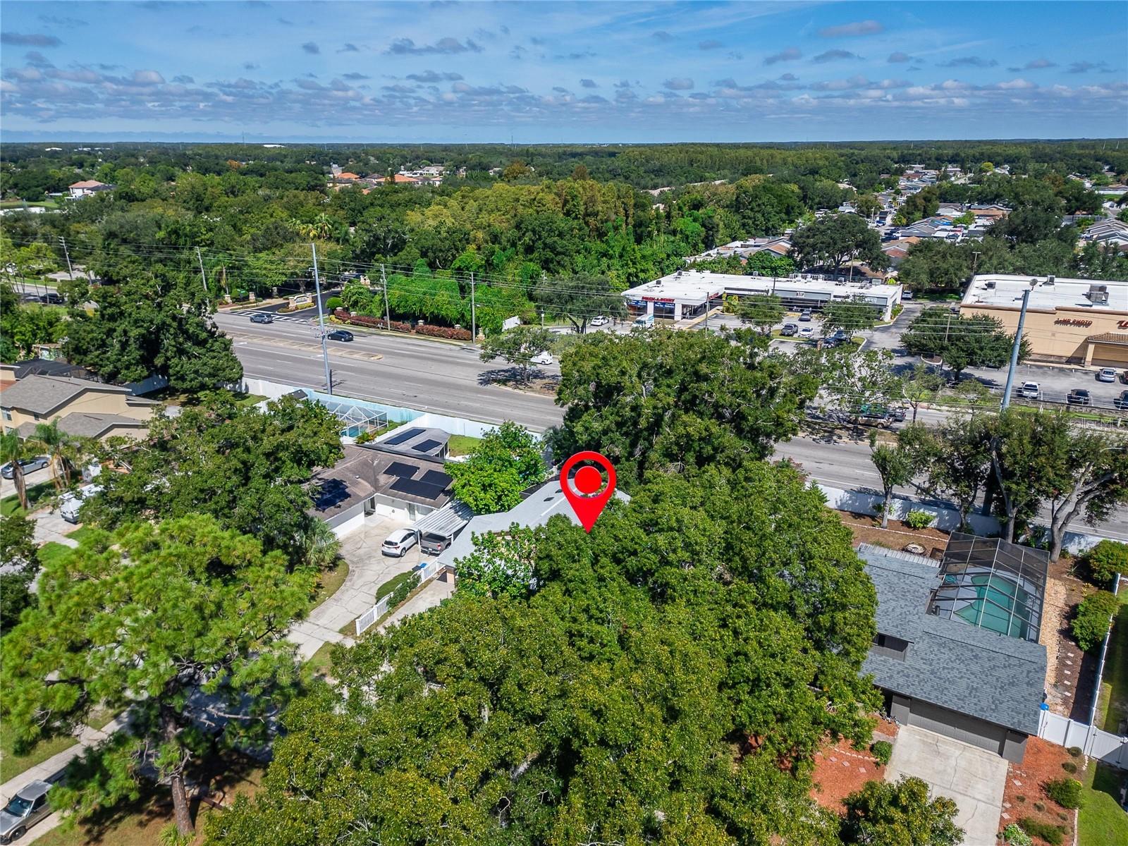 7003 SUMMERBRIDGE DR — photo 4