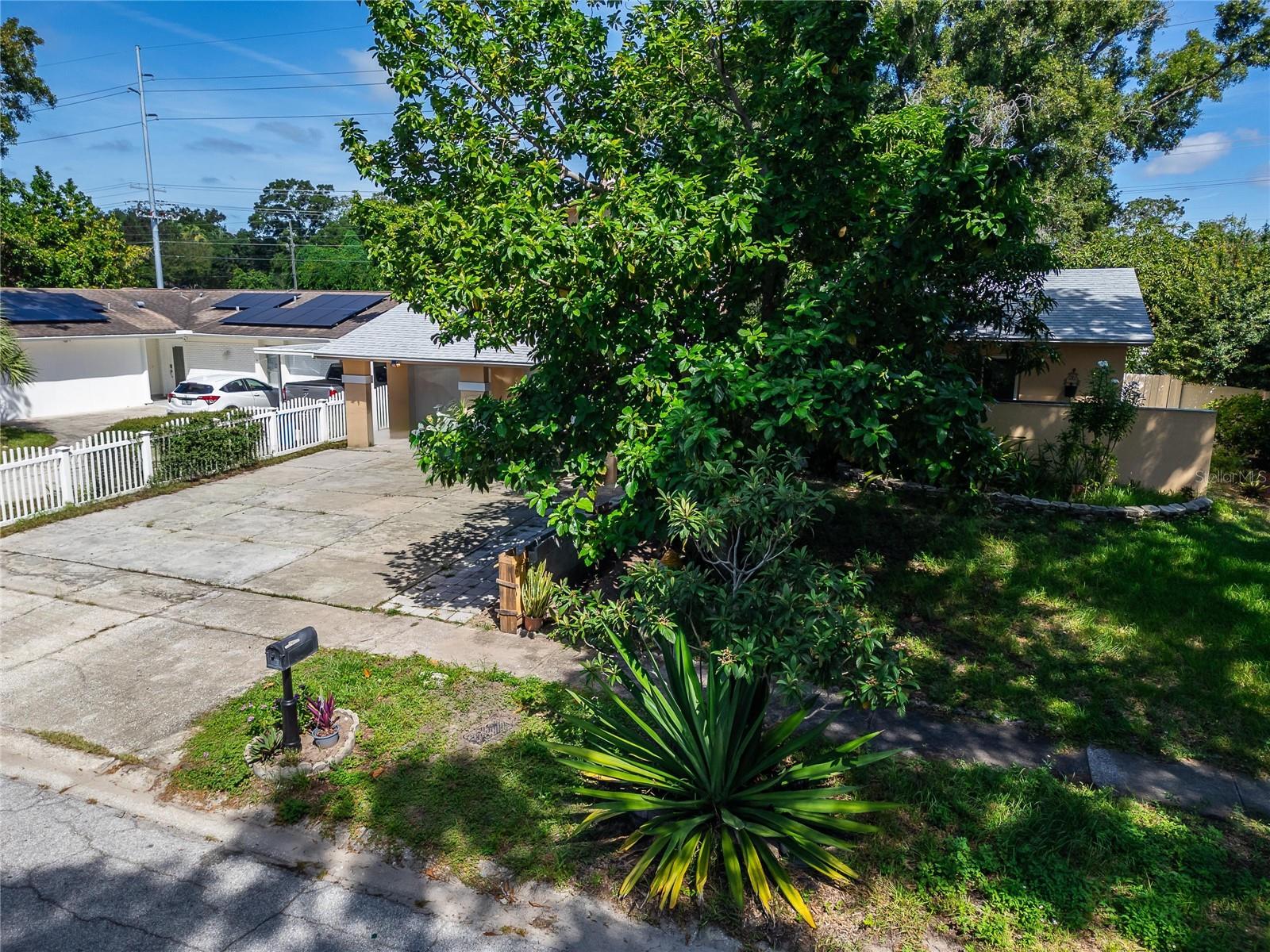 7003 SUMMERBRIDGE DR — photo 3