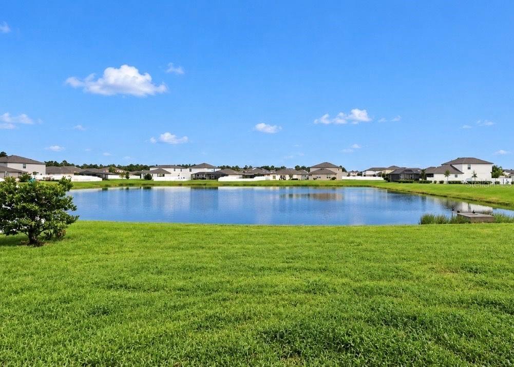 11911 FIELD THISTLE CT — photo 51