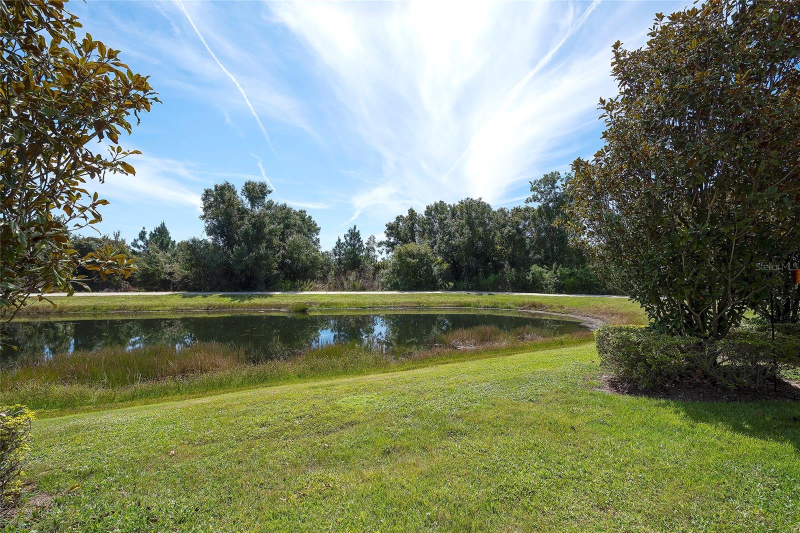 12207 TRAILHEAD DR — photo 36