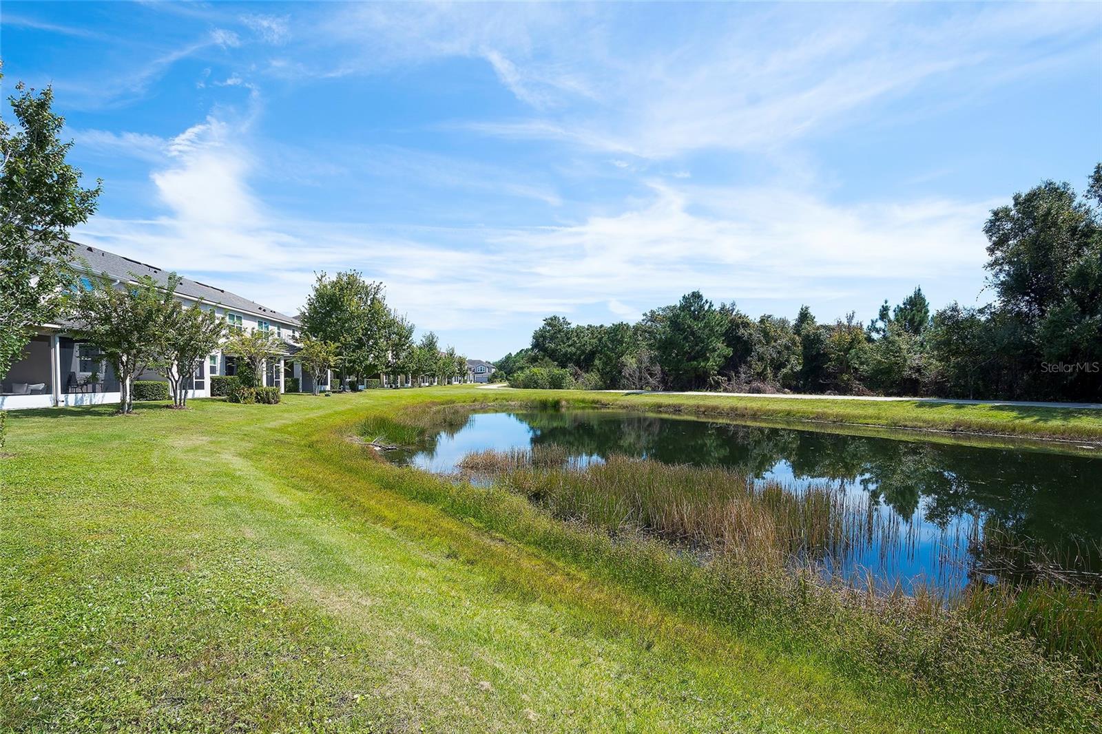 12207 TRAILHEAD DR — photo 37