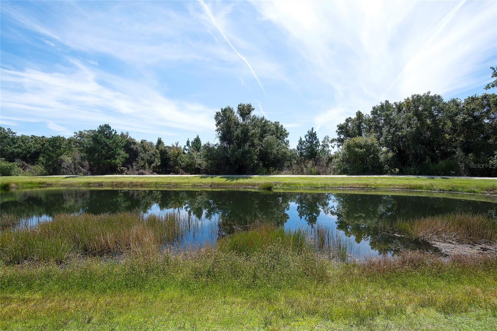 12207 TRAILHEAD DR — photo 38