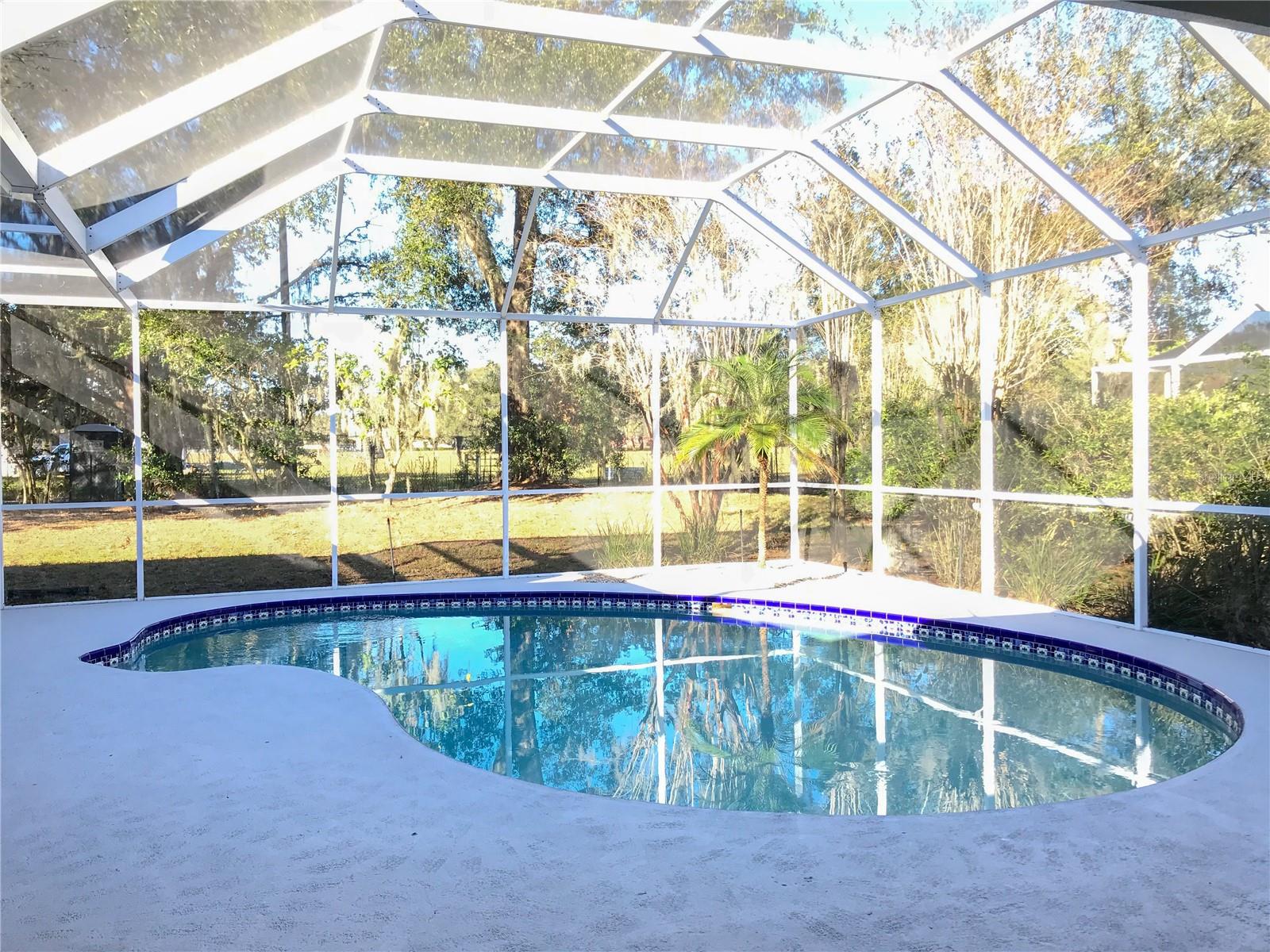 3703 TURKEY OAK DR — photo 24