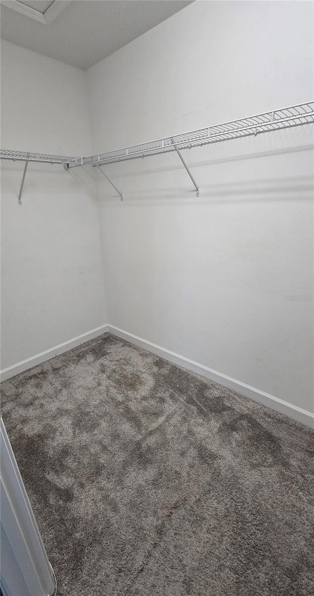 13917 ROSEATE TERN LN — photo 30