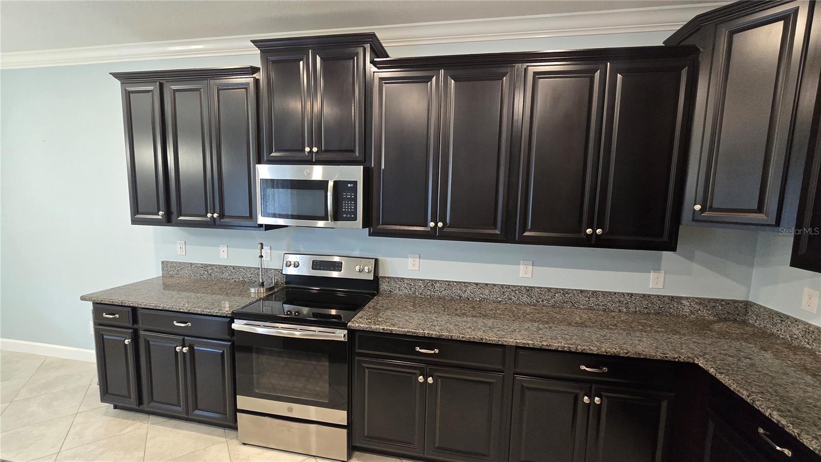 13917 ROSEATE TERN LN — photo 11
