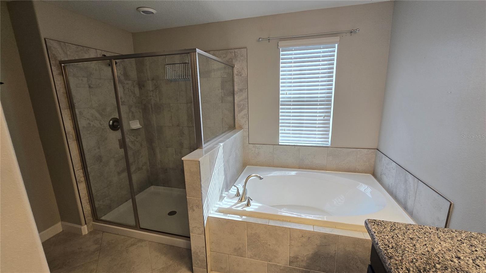 13917 ROSEATE TERN LN — photo 33