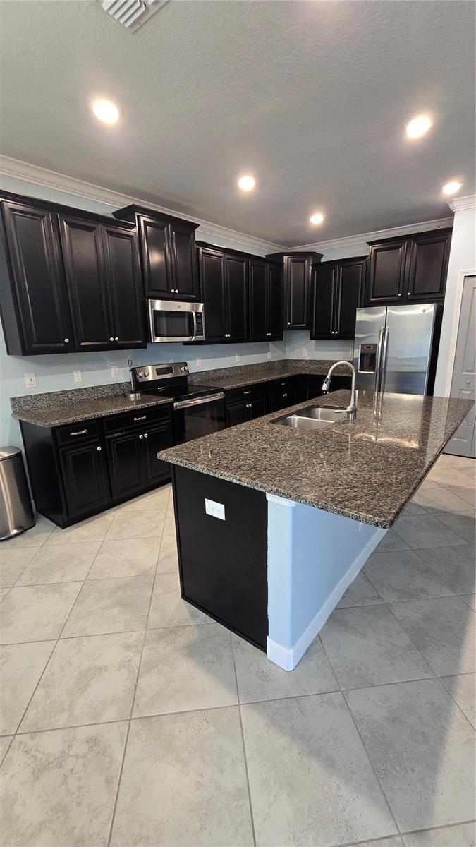 13917 ROSEATE TERN LN — photo 13