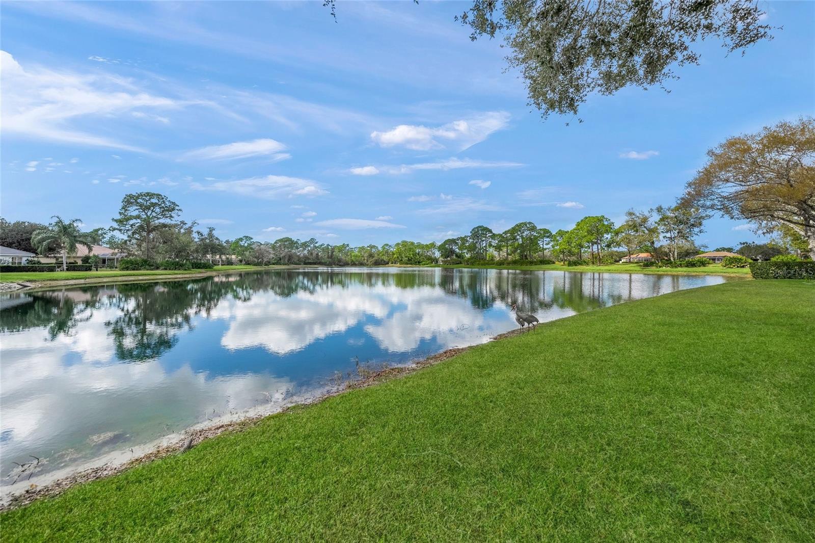 9075 MISTY CREEK DR — photo 50