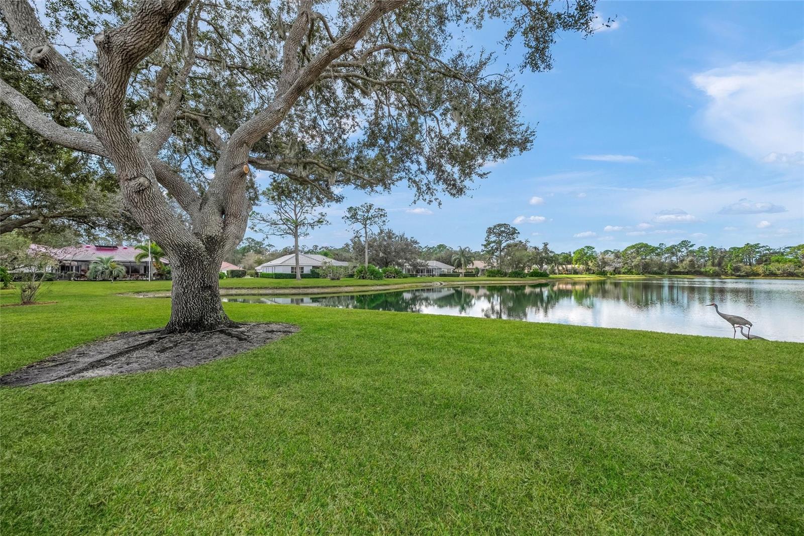 9075 MISTY CREEK DR — photo 51