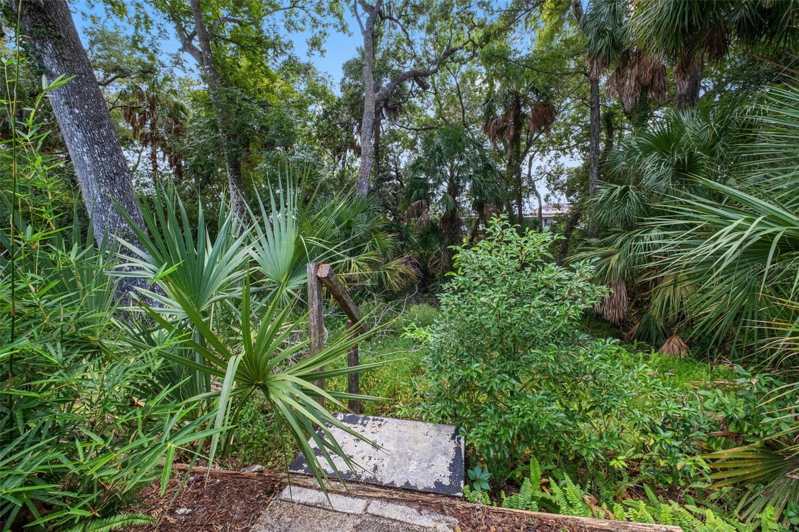 8024 BEAVER CREEK LOOP — photo 46