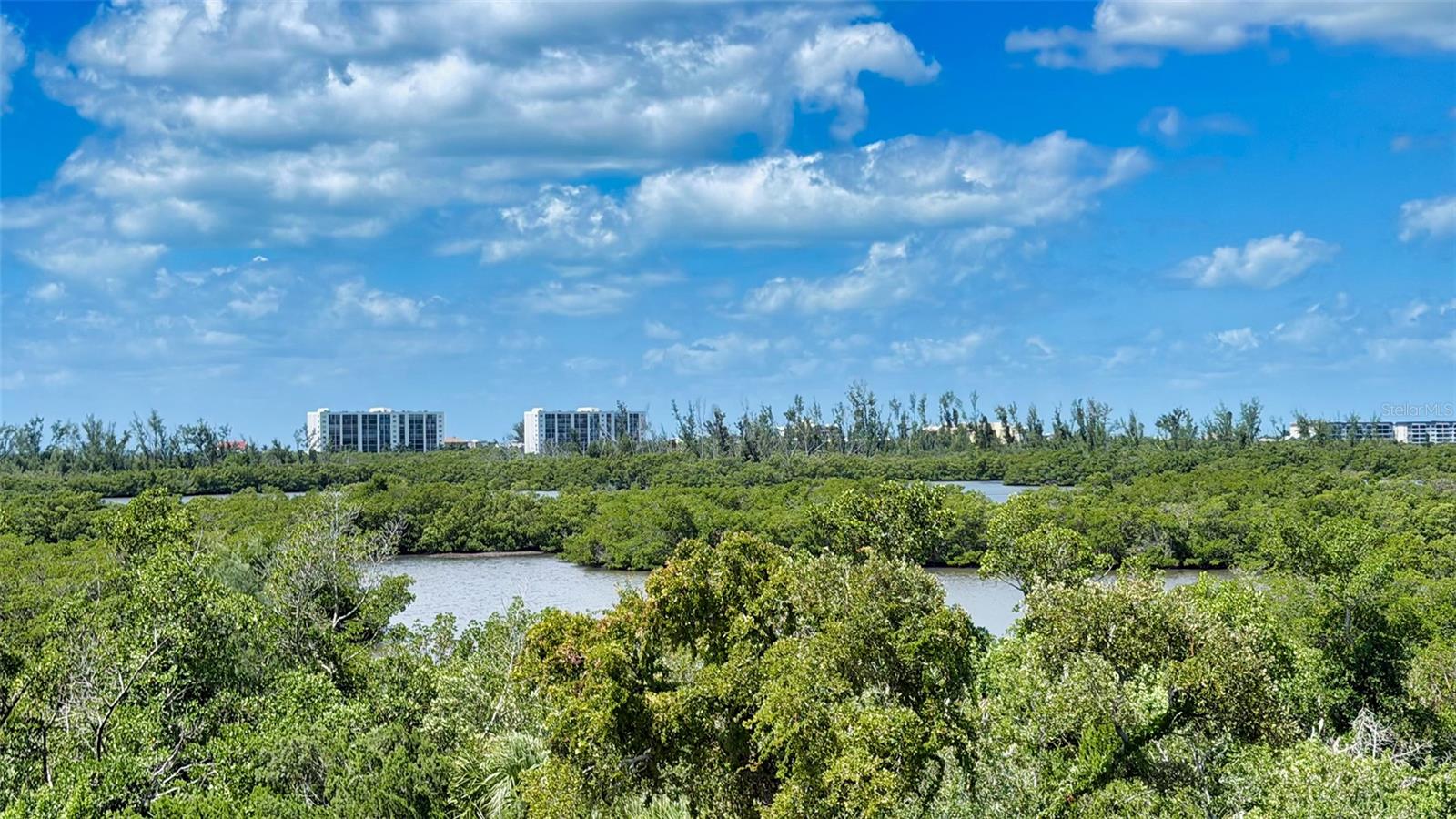 168 COASTAL HAMMOCK CT — photo 31
