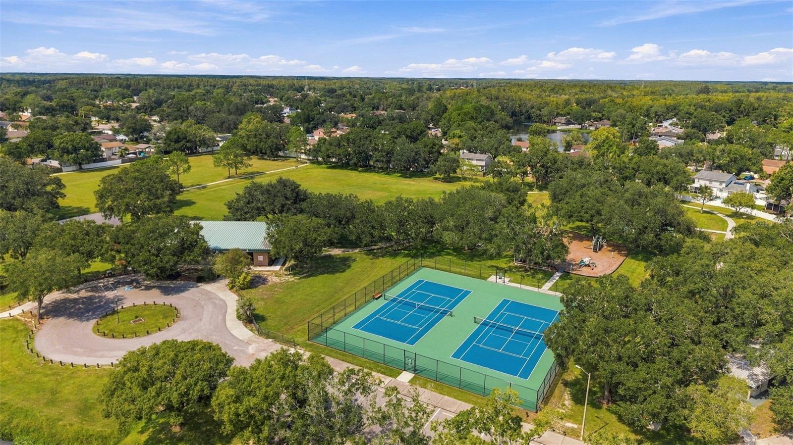 15801 COUNTRY LAKE DR — photo 49
