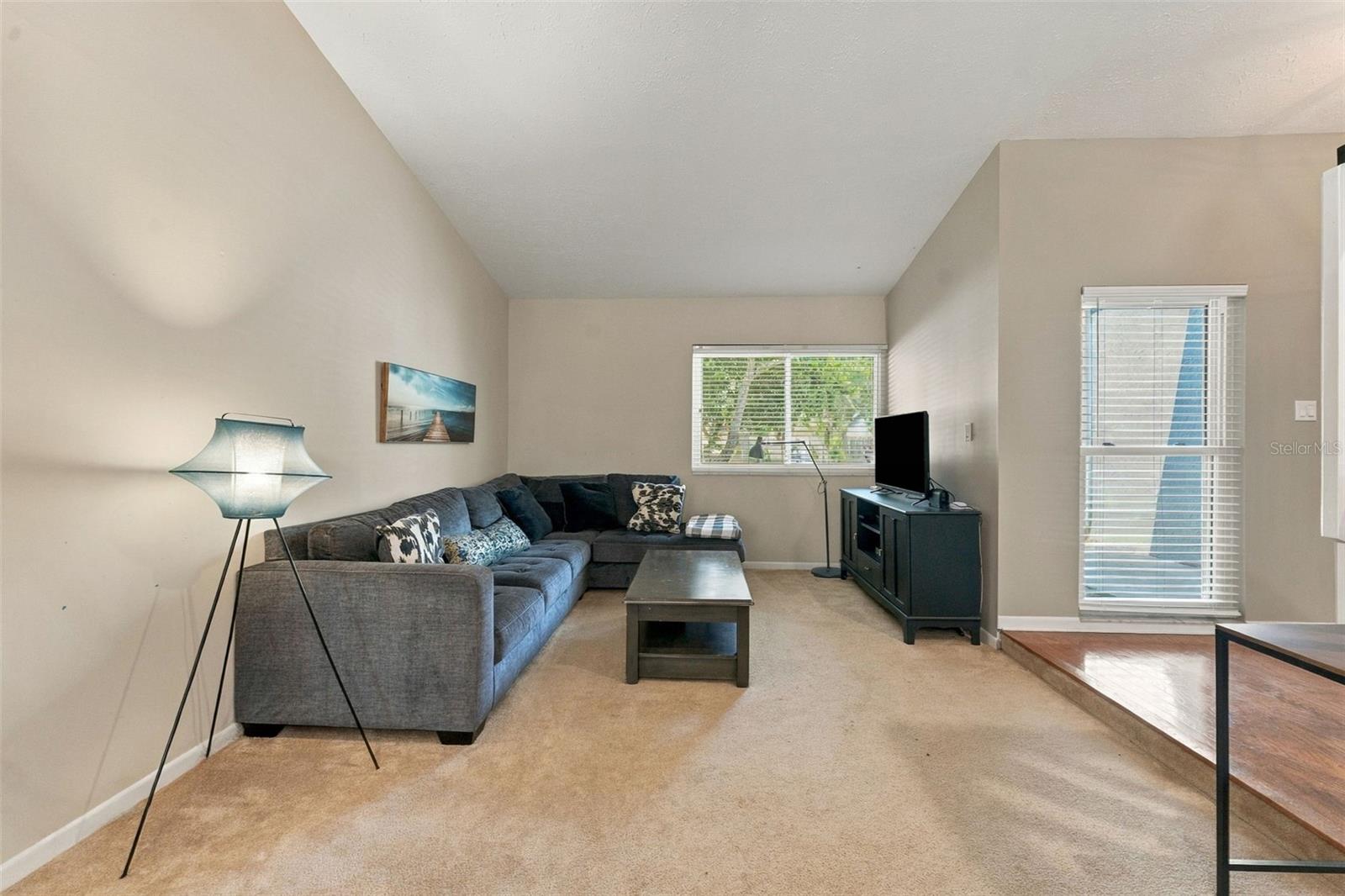 15801 COUNTRY LAKE DR — photo 8