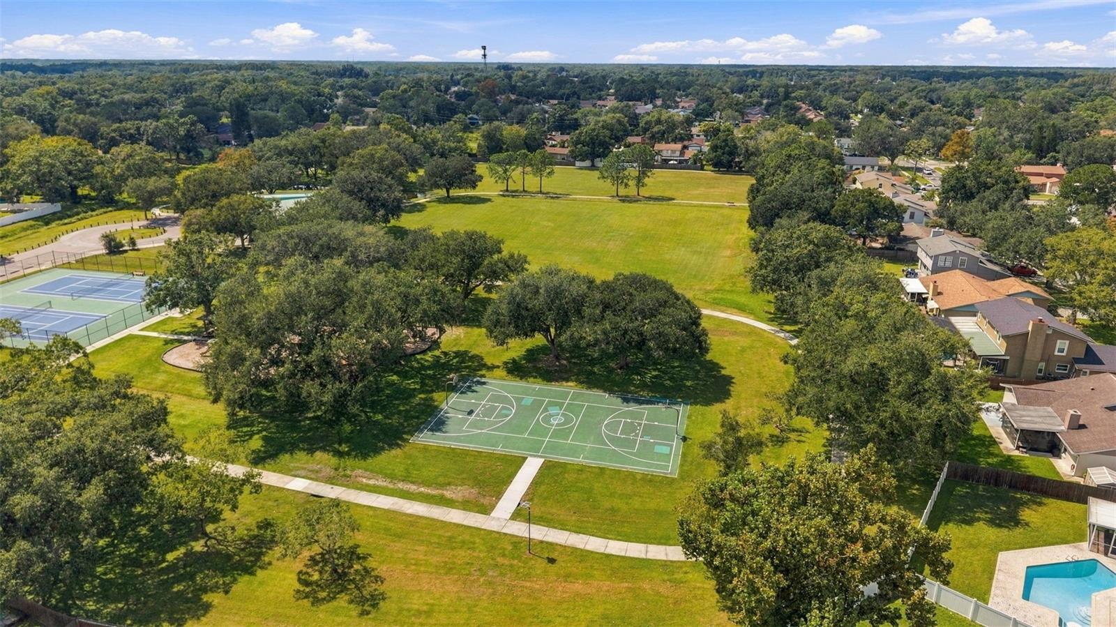 15801 COUNTRY LAKE DR — photo 48