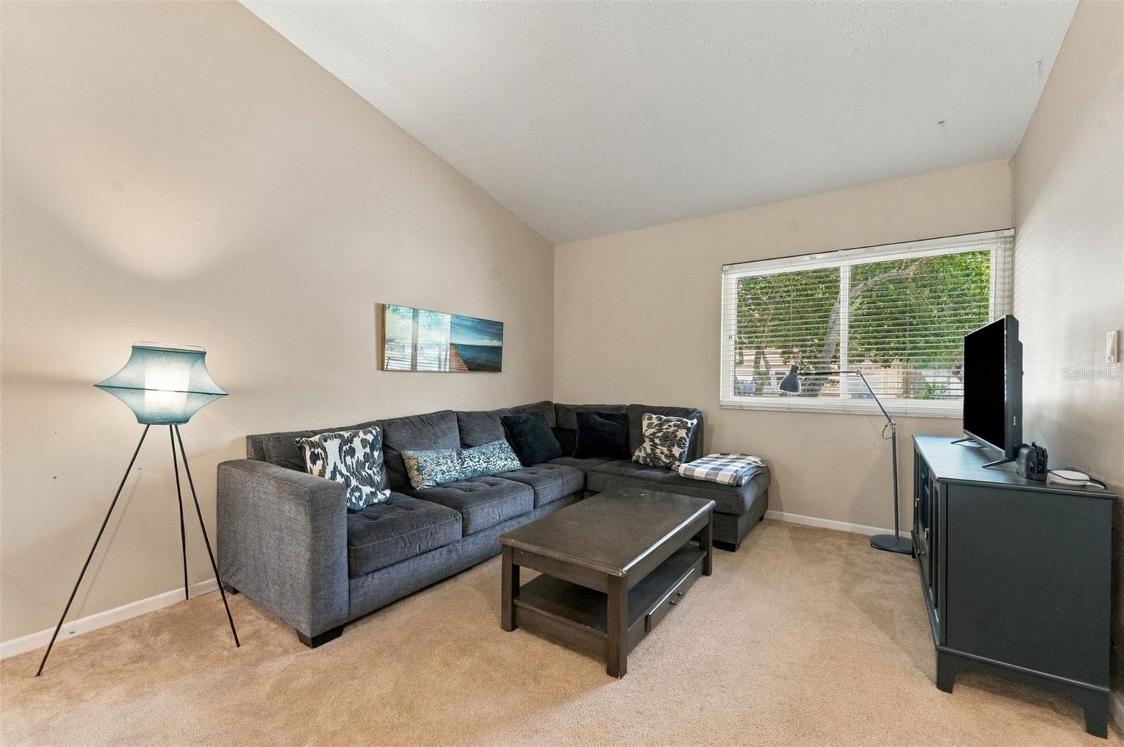 15801 COUNTRY LAKE DR — photo 9
