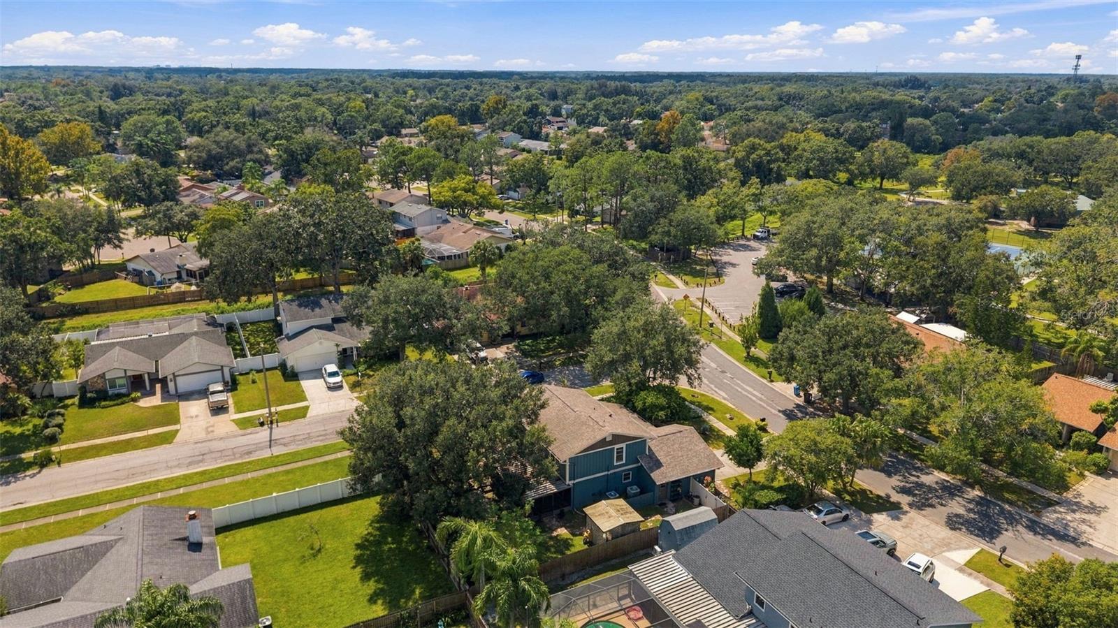 15801 COUNTRY LAKE DR — photo 46